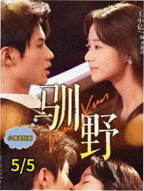 法证前线 港剧海报